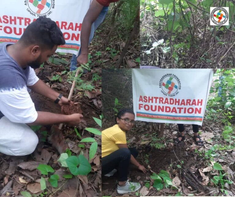 See All Campaigns what ashtradharah do