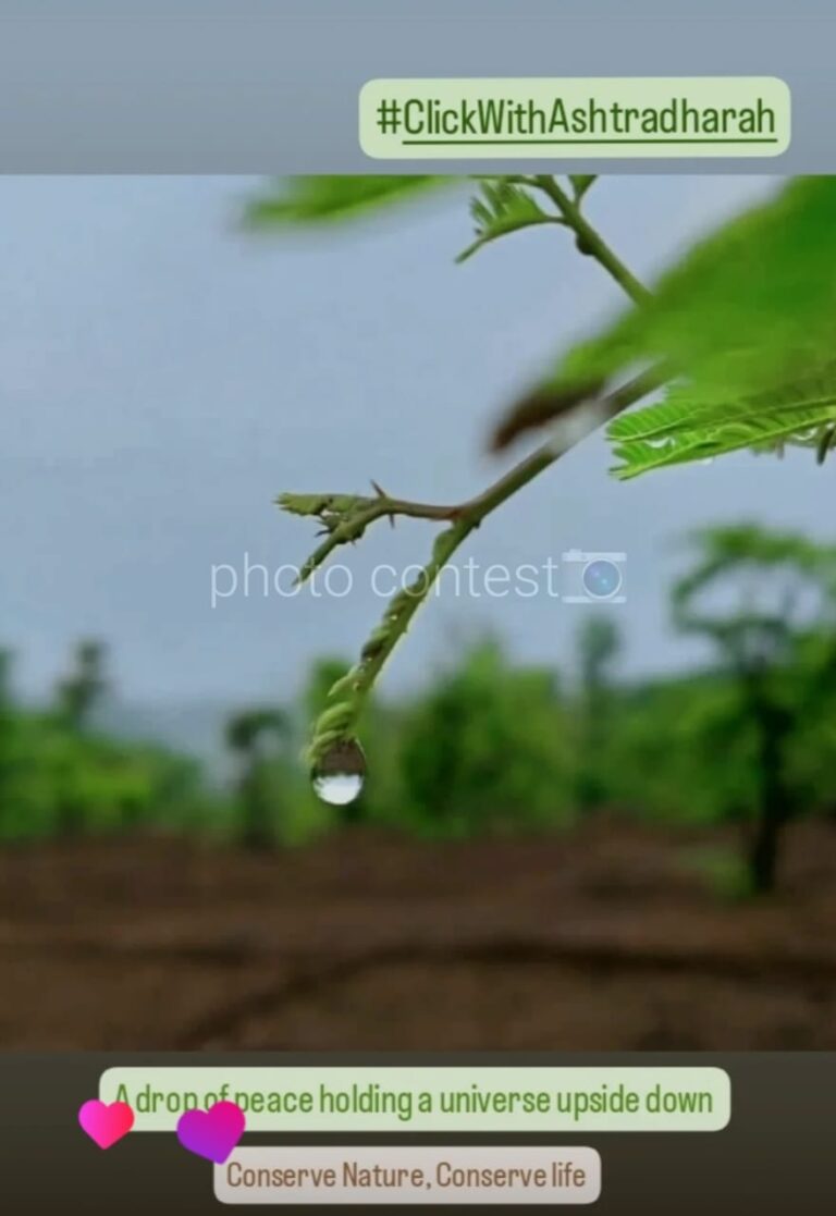 See All Campaigns whatsapp image 2026 05 17 at 8.38.07 pm